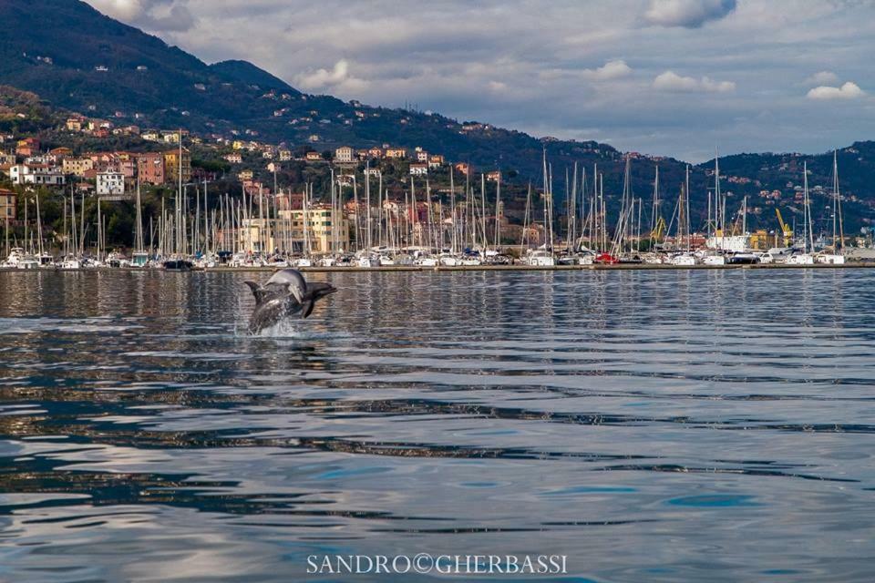 Appartamento Number40laspezia *